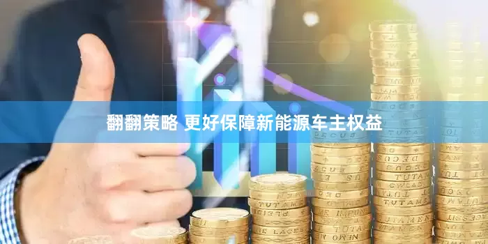 翻翻策略 更好保障新能源车主权益