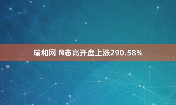 瑞和网 N志高开盘上涨290.58%