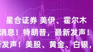 星合证券 美伊、霍尔木兹海峡，大消息！特朗普，最新发声！美股、黄金、白银，大涨！